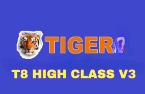 TIGER T8 HIGH CLASS V3 HD RECEIVER NEW SOFTWARE UPDATE